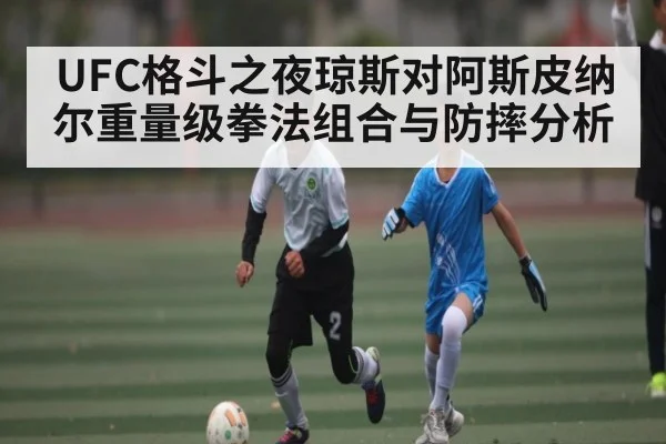UFC格斗之夜琼斯对阿斯皮纳尔重量级拳法组合与防摔分析